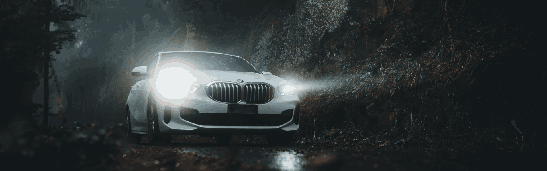 Is Electric Vehicle a Green Mobility?